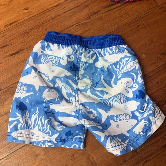 Swim Trunks - Picture 8 of 16